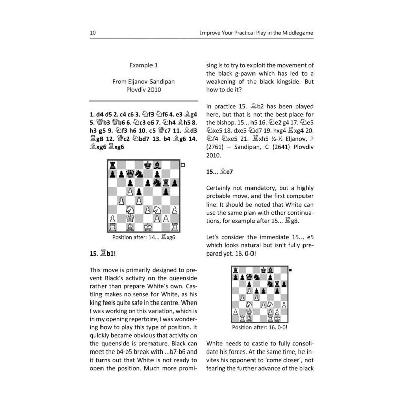 Improve Your Practical Play in the Middlegame - Alexey Dreev (K-5434)