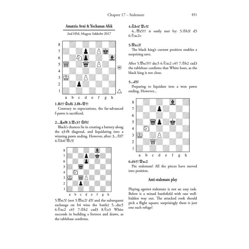 Yochanan Afek - Practical Chess Beauty (twarda oprawa) (K-5558)