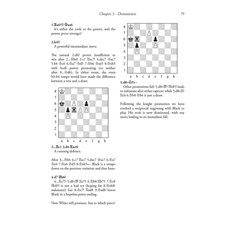 Yochanan Afek - Practical Chess Beauty (twarda oprawa) (K-5558)