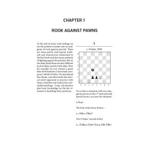 Mastering typical rook endgames - Adrian Mikhalchishin (K-5567)