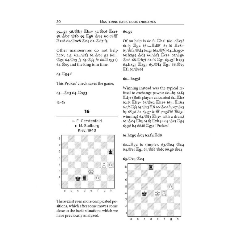 Mastering typical rook endgames - Adrian Mikhalchishin (K-5567)