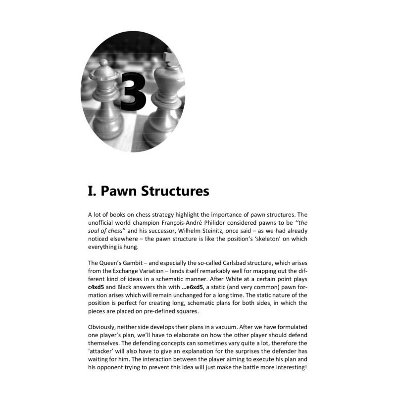 Herman Grooten - Understanding before Moving: Part 2: Queen's Gambit Structures (K-5591)