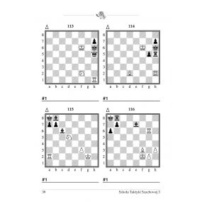 20x gm J. Zezulkin, "Szkoła Taktyki Szachowej 3. Motywy kombinacyjne " (K-3685/3/20)