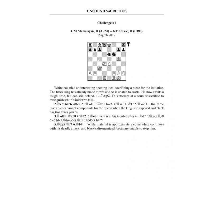 111 Middlegame Crimes and Punishments - Alexander Galkin, Anastasia Travkina (K-5840)