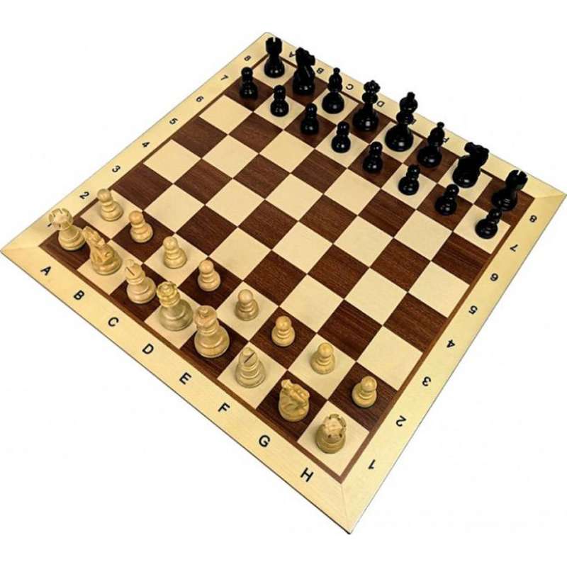 Ekskluzywny zestaw Mistrzowski 5