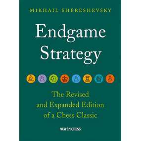 Endgame Strategy - Mikhail Shereshevsky