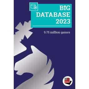 Big Database 2023 (P-0106)