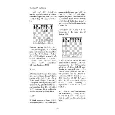 Sicilian Defense - The Chelyabin - Gennadi Timoshchenko, PDF, Chess  Theory