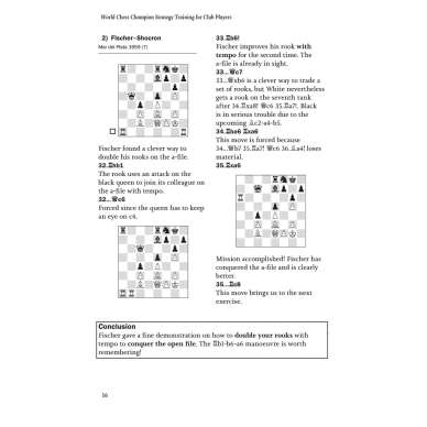 World Chess Champion Strategy Training by Willemze, Thomas