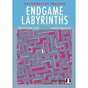 Endgame Labyrinths - Steffen Nielsen, Jacob Aagaard (K-6314)