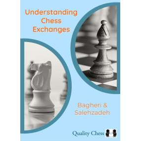 Understanding Chess Exchanges - Bagheri, Salehzadeh (K-6337)