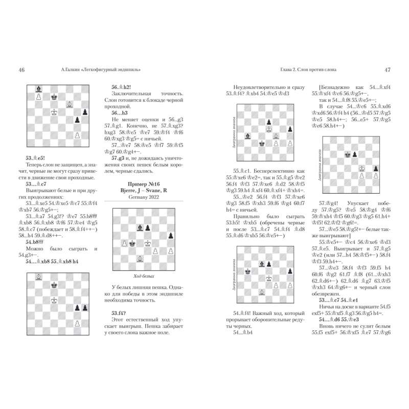 Końcówki lekkie. 87 lekcji arcymistrza - Aleksander Galkin (K-6453)