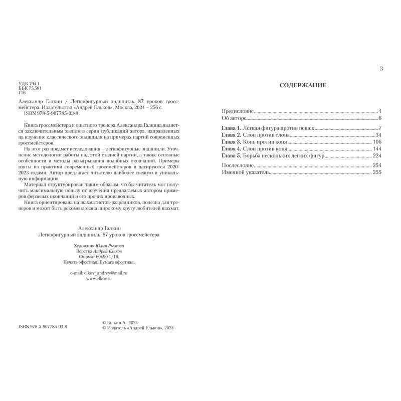 Końcówki lekkie. 87 lekcji arcymistrza - Aleksander Galkin (K-6453)