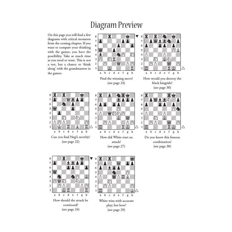 Dynamic Decision Making in Chess by Boris Gelfand ( K-5128 )