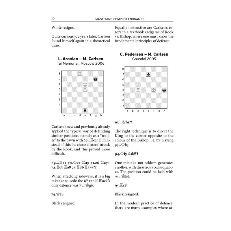 Mastering Complex Endgames - Adrian Mikhalchishin, Oleg Stetsko (K-5310)