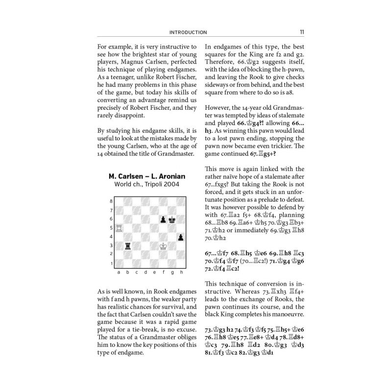 Mastering Complex Endgames - Adrian Mikhalchishin, Oleg Stetsko (K-5310)