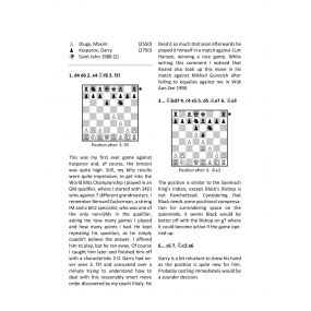 Grandmaster Insides - Maxim Dlugy (K-5314)