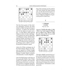 Chess Middlegame Strategies, Vol 2: Opening meets Middlegame - Ivan Sokolov (K-5353)